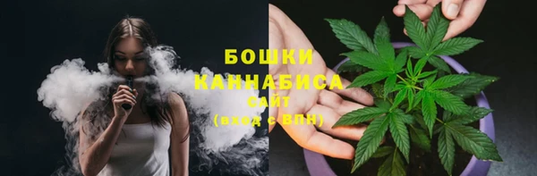 таблы Бородино