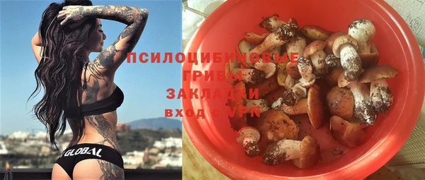 таблы Бородино
