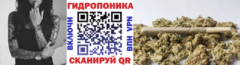 Купить закладки  Ак-Довурак  Марихуана марихуана 
